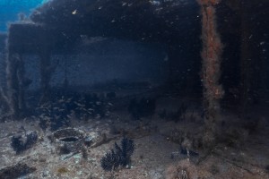 Wreck Dive